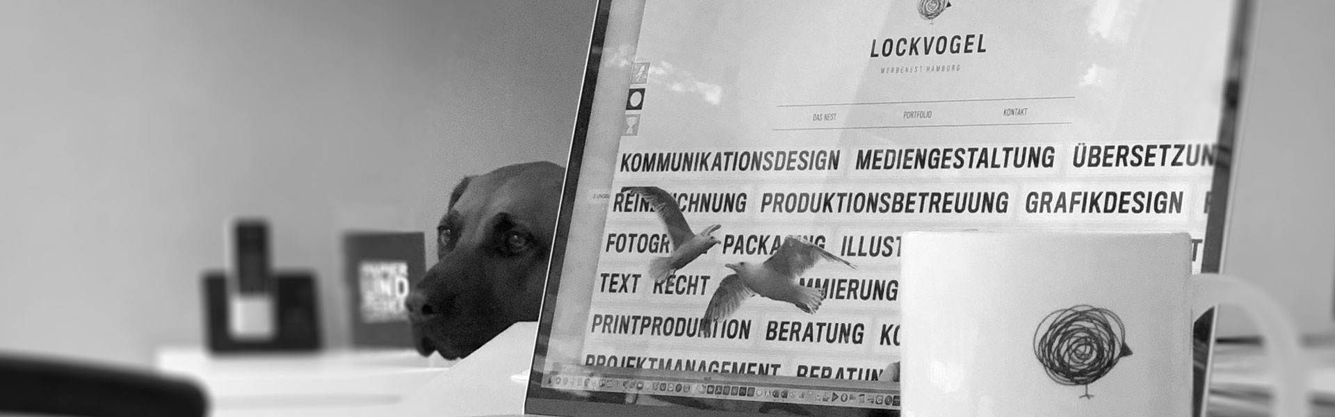 Ein Hund blickt aufmerksam auf einen Computerbildschirm, der die Dienstleistungen der "Lockvogel" Website zeigt, einschließlich Kommunikationsdesign und Mediengestaltung.